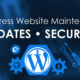 Monthly Maintenance for Your Wordpress Website